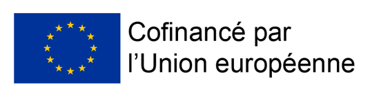 https://aseanfc.illicoweb.com/wp-content/uploads/2024/05/Capture.png
